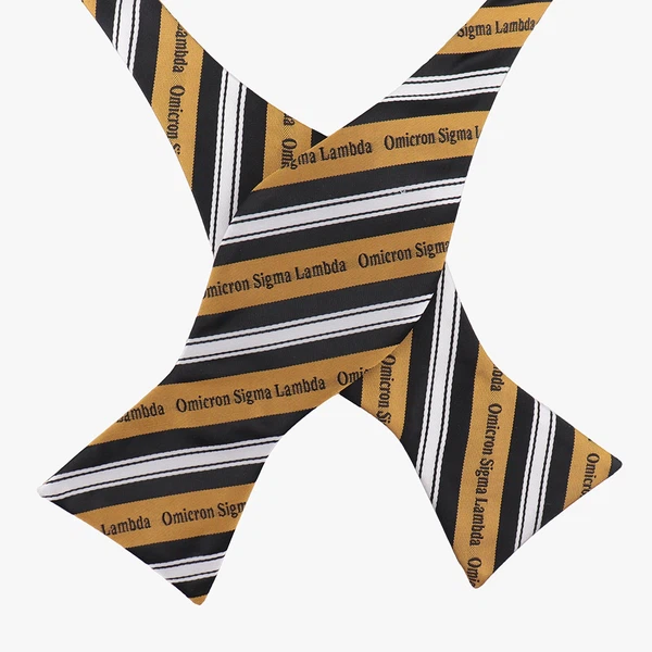 Logo with Stripe